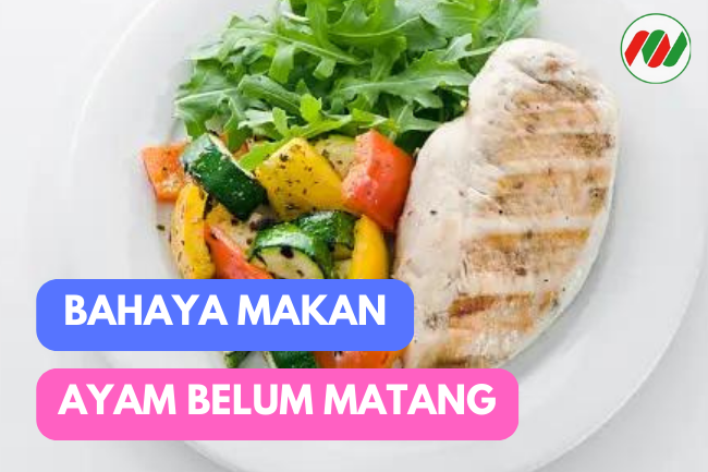 Bahaya Makan Daging Ayam yang Belum Matang: Ancaman Kesehatan yang Perlu Kamu Ketahui